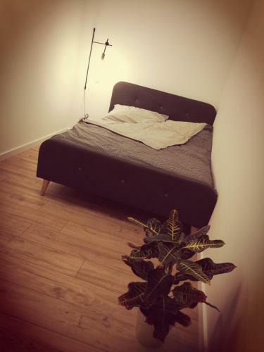 Apartamenty Muzyczna 14