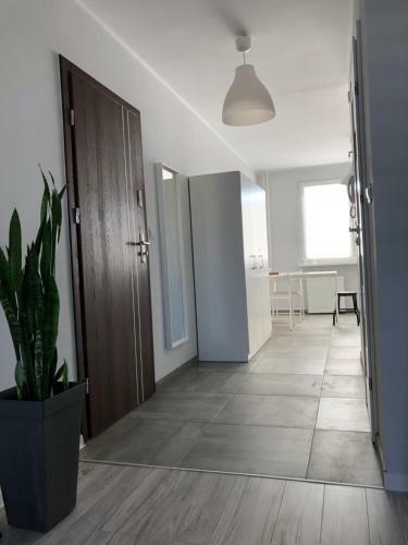 Apartament Kili?skiego 9