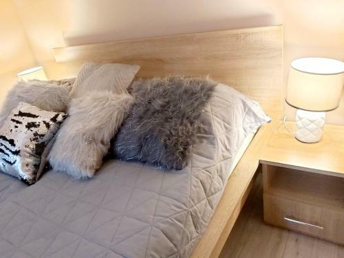 Apartament Wiktoria ?wierad�w Zdr�j