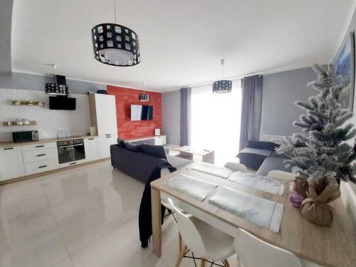 Apartament Wiktoria ?wierad�w Zdr�j