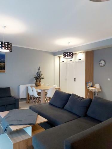 Apartament Wiktoria ?wierad�w Zdr�j