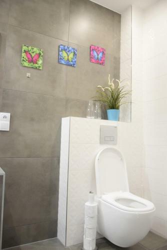 Apartament Wiktoria ?wierad�w Zdr�j