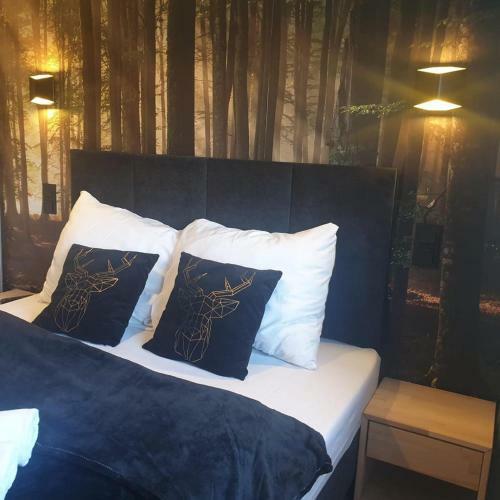 Apartament Izerska Przygoda - 5d Apartamenty