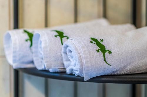 Apartamenty Le?nicz�wka Salamandra