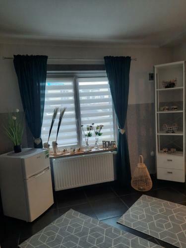 Apartament Zielony Li??