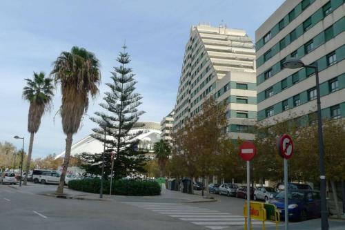 Apartamento En La Ciudad De Las Ciencias