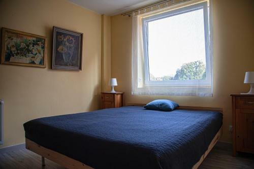 Apartamenty W Starym Kinie