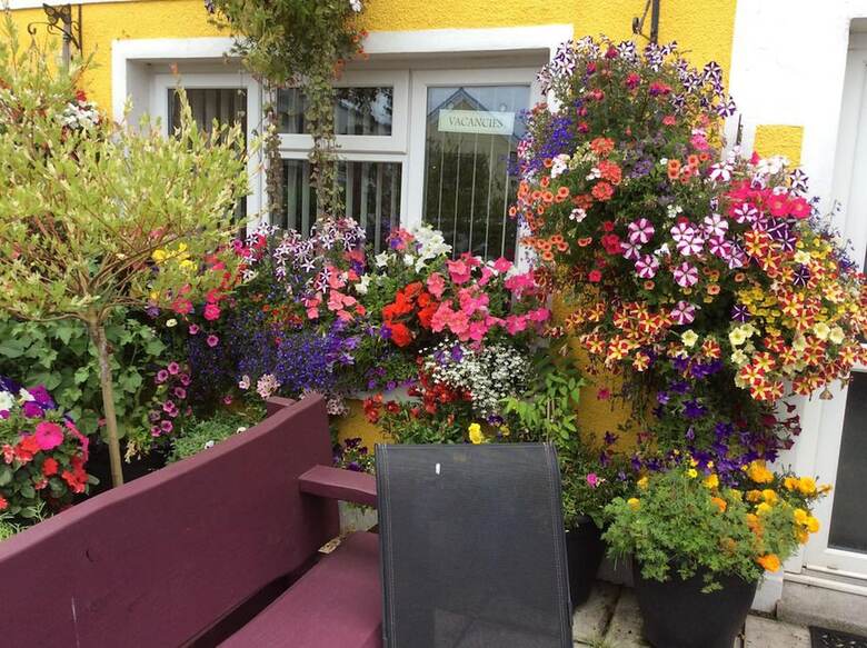 Bed & Breakfast Globe Guest House