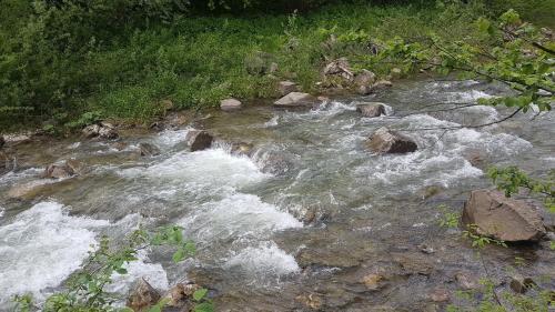 Apartamenty Homole Apartament D5