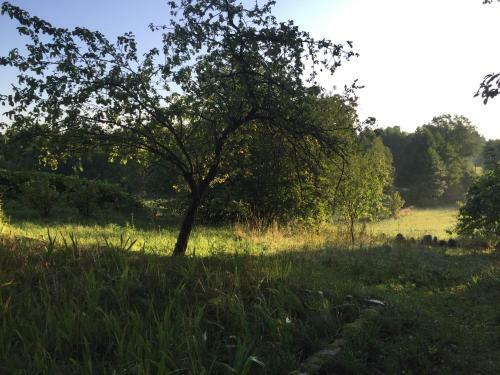 Suwalskie Siedlisko