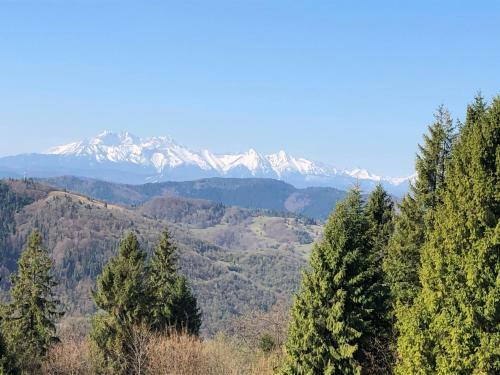 Apartamento Na ?wierkowym Strychu
