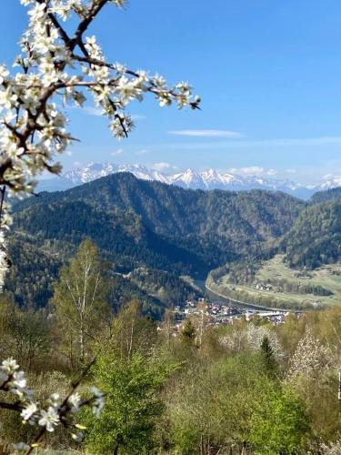 Apartamento Na ?wierkowym Strychu