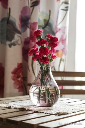 Apartamenty Toszeckie 4-6 Os�b