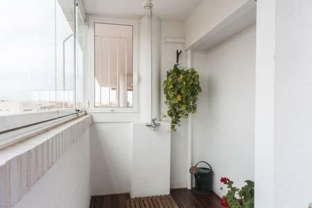 Apartamento Luxury Penthouse Near Beach/seaview