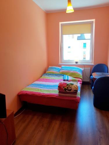 Pokoje Goscinne ''muszelka''