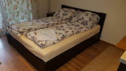 Regina Maris ?winouj?cie - Apartament Andersz