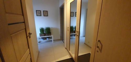 Solano Apartments