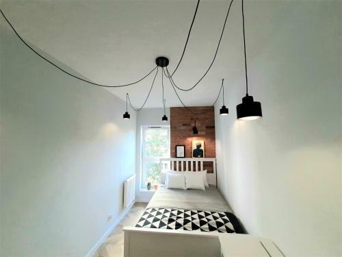 Apartamenty Aleksandry_apartament Paw?a