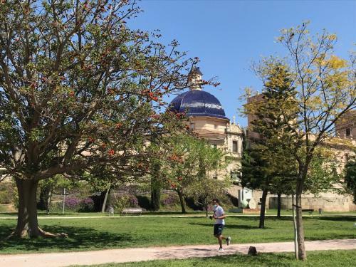 Apartamento Appartement Elsa Valencia