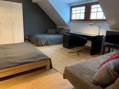 Apartamenty 4 I 45 W Willi J�zefina