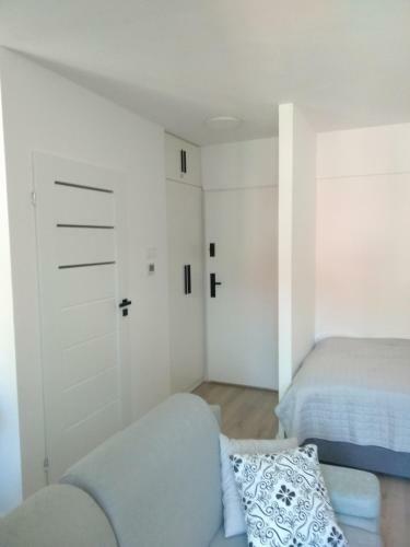 Apartament Pod ?wierkami