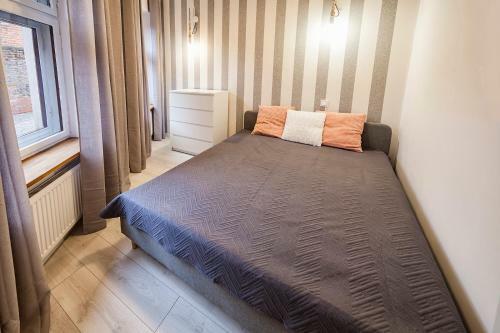 Apartamenty Toru?skie Pod Krzyw? Wie??