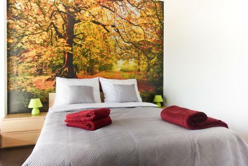 Apartament Centrum - 2