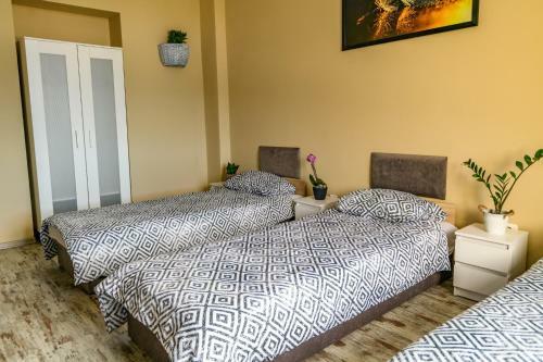 Albergue Centrum Noclegi W?growiec