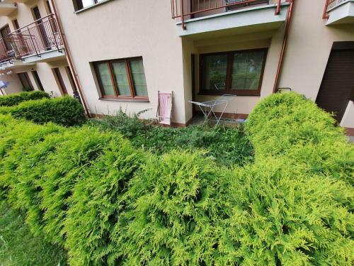 Apartament Nad Wis??