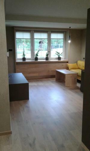 Apartament Nad Wis??