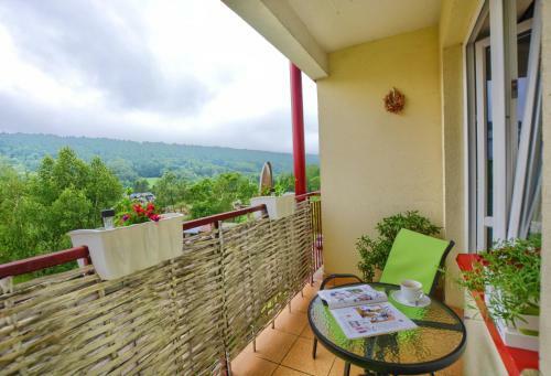 Apartamenty Bieszczadzki Anio?
