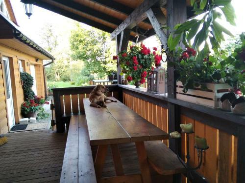 Agroturismo Dom Na Rozdro?u