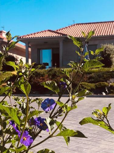 Casa Con Jard�n Al Lado De Playa H�o