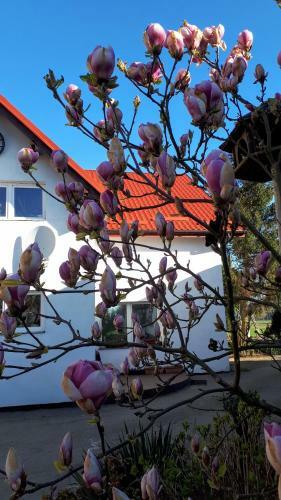 Agroturismo Ranczo U Stefana