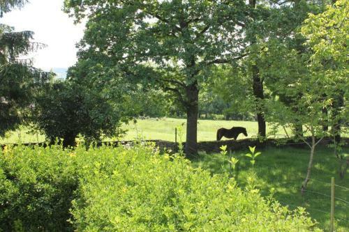 Casa Amalia - En El Coraz�n Verde De Cantabria!!