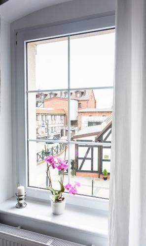 Apartamento Poczt�wka