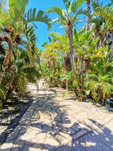 Apartamento Veratespera Apto Cerca de La Playa, Wifi, Mascotas
