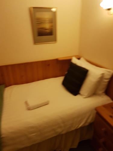 Dolbrodmaeth Riverside Hotel