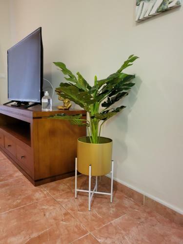 Apartamento Ex�tico En Primera L�nea De Vera-playa!