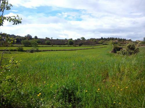 Agroturismo Casa Rural Las Dalias Con Hidromasaje