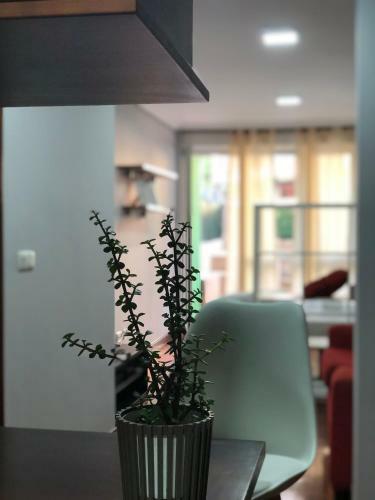 Apartamento El S�tano De Lopez Mora