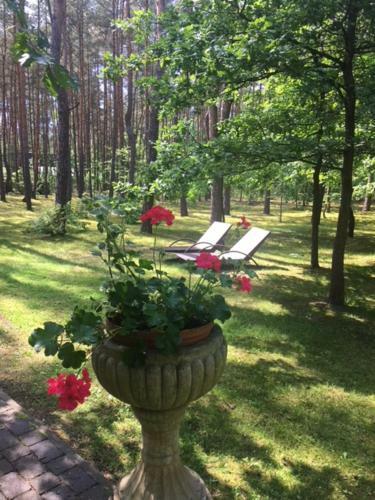 Dworek W Lesie - Nowy Obiekt