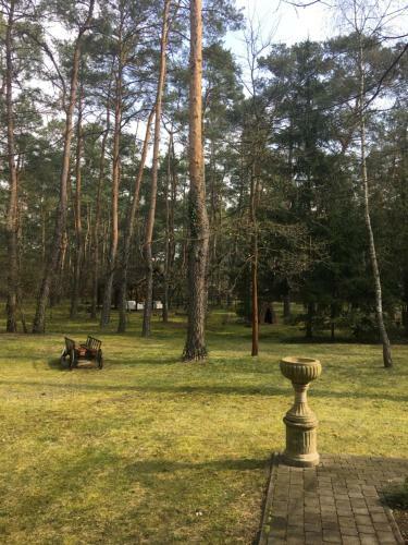 Dworek W Lesie - Nowy Obiekt