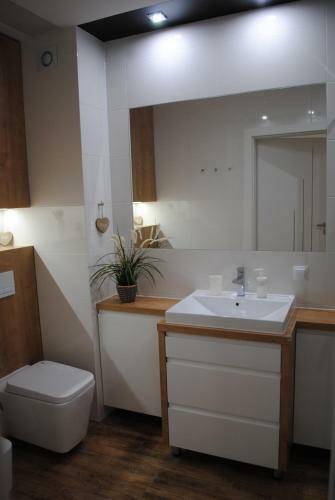 Apartament ?eglarski Wilkasy