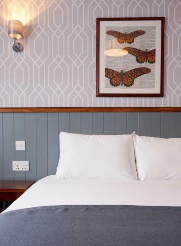 Posada Chase Inn By Good Night Inns