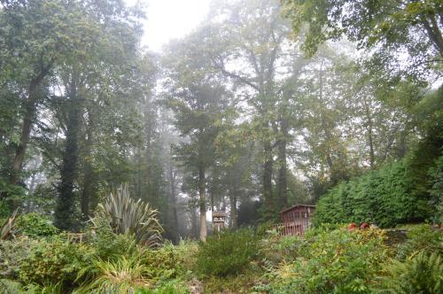 Bed & Breakfast Thornybank