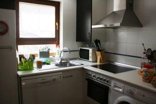 Apartamento D�plex Con Jard�n En Pirineos, Totalmente Equipado