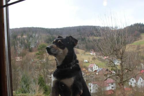 Hostal Pustelnia Wodza