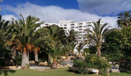 Apartment La Caleta