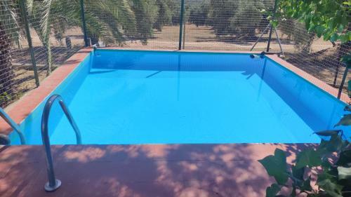 La Perdiz De Molinca